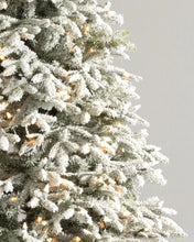 Carregar imagem no visualizador da galeria, Árvore de Natal Nevada Frosted Fraser com Galhos Articulados, Suporte Metálico e Micro LEDs Embutidos