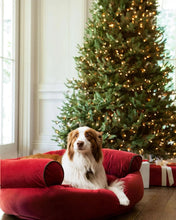 Carregar imagem no visualizador da galeria, Árvore de Natal White Spruce Verde com Galhos Articulados, Suporte Metálico e Micro LEDs Embutidos