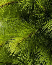 Carregar imagem no visualizador da galeria, Árvore de Natal Monterey Pine Slim com Galhos Articulados, Suporte Metálico e Micro LEDs Embutidos